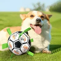 متجر Saifpets: مكان مثالي لشراء حيوانات أليفة ومستلزماتها
