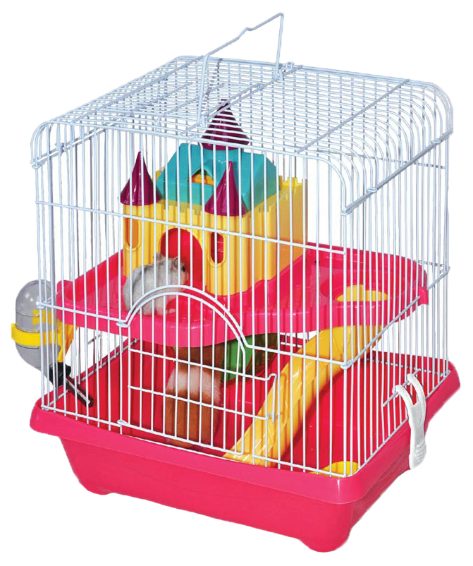 أرخص مكان لشراء مستلزمات القطط عبر الإنترنت من saifpets
